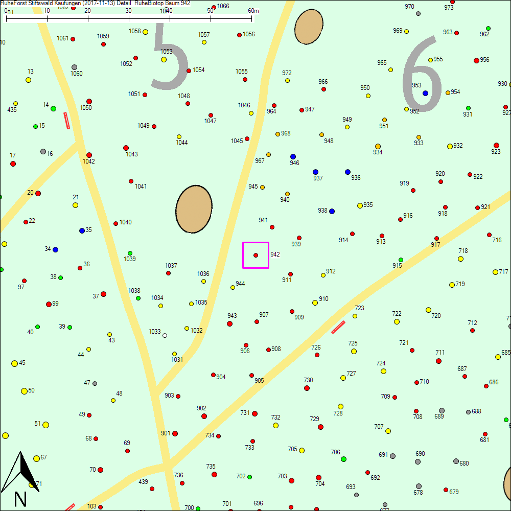 Detailkarte zu Baum 942