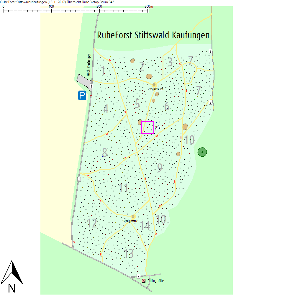 &Uuml;bersichtskarte zu Baum 942