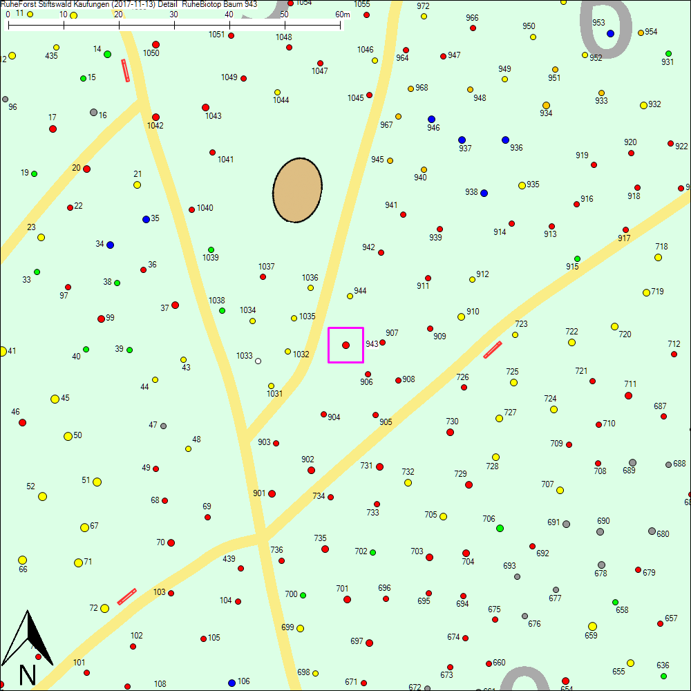 Detailkarte zu Baum 943