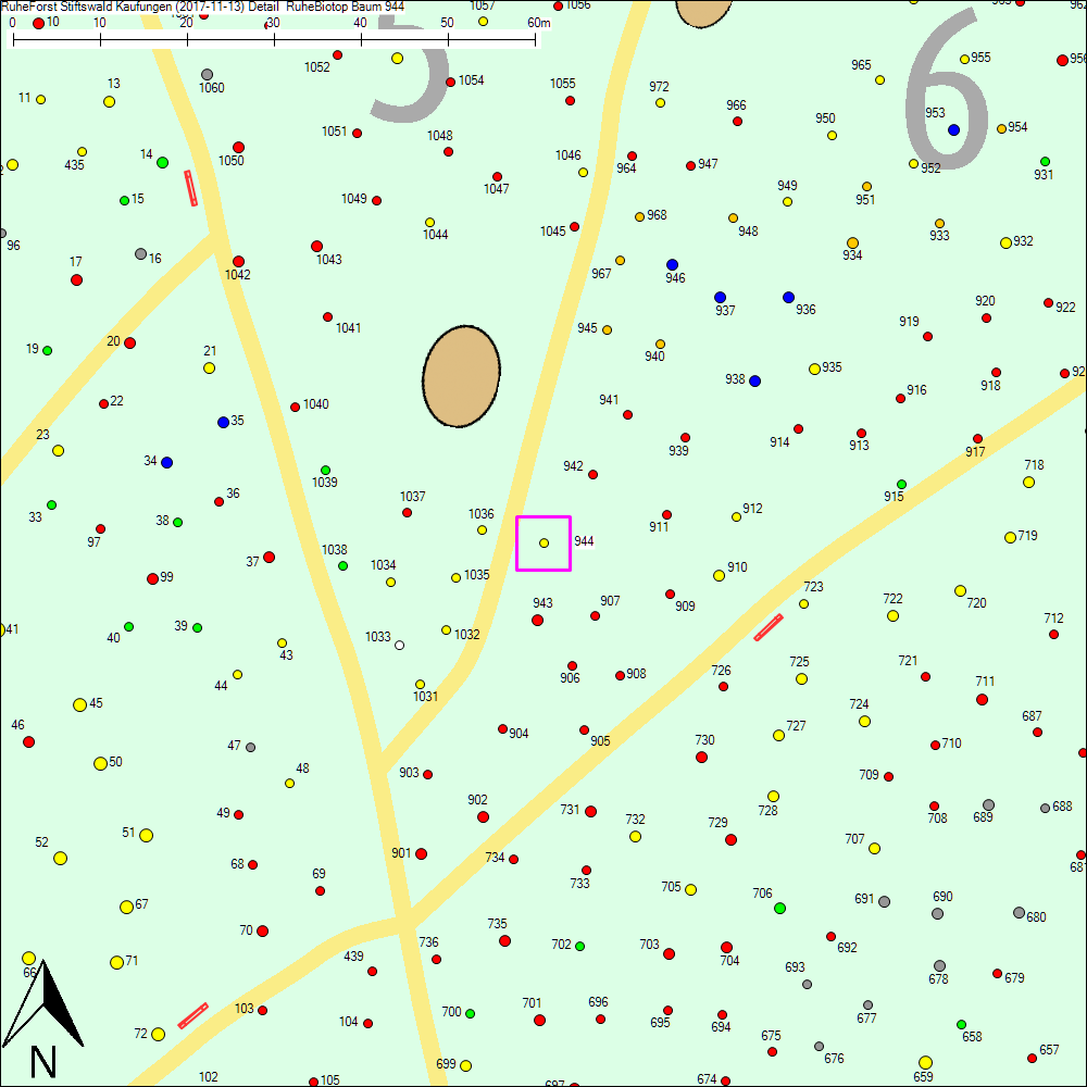 Detailkarte zu Baum 944