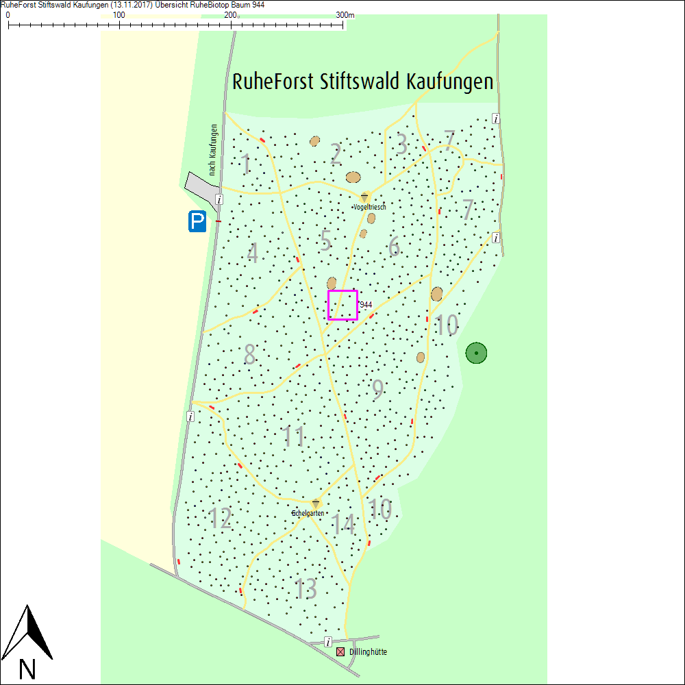 &Uuml;bersichtskarte zu Baum 944