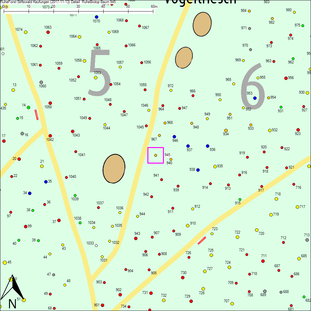 Detailkarte zu Baum 945