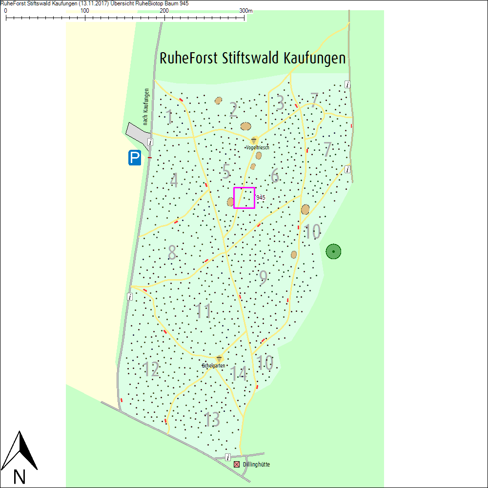 &Uuml;bersichtskarte zu Baum 945