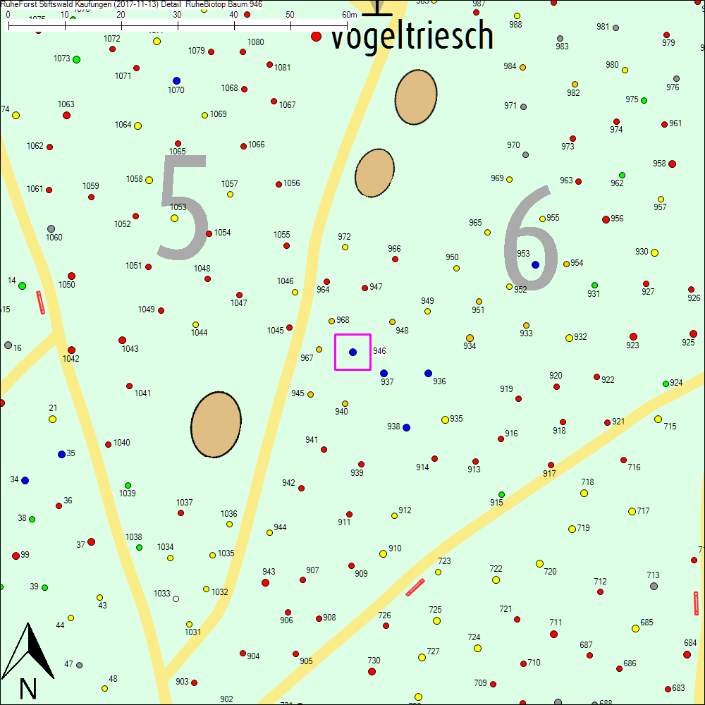 Detailkarte zu Baum 946