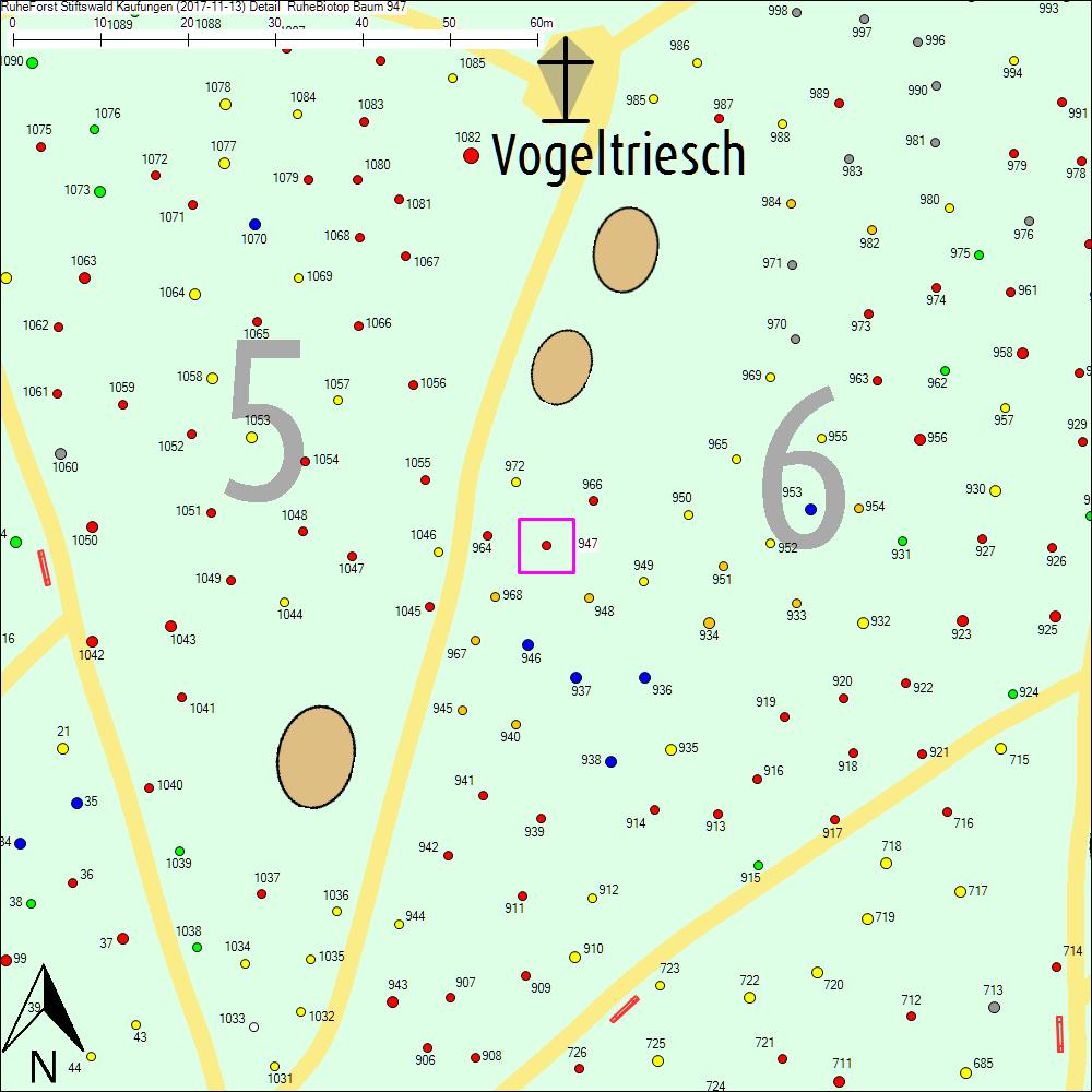 Detailkarte zu Baum 947