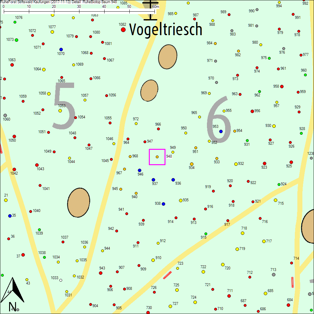 Detailkarte zu Baum 948