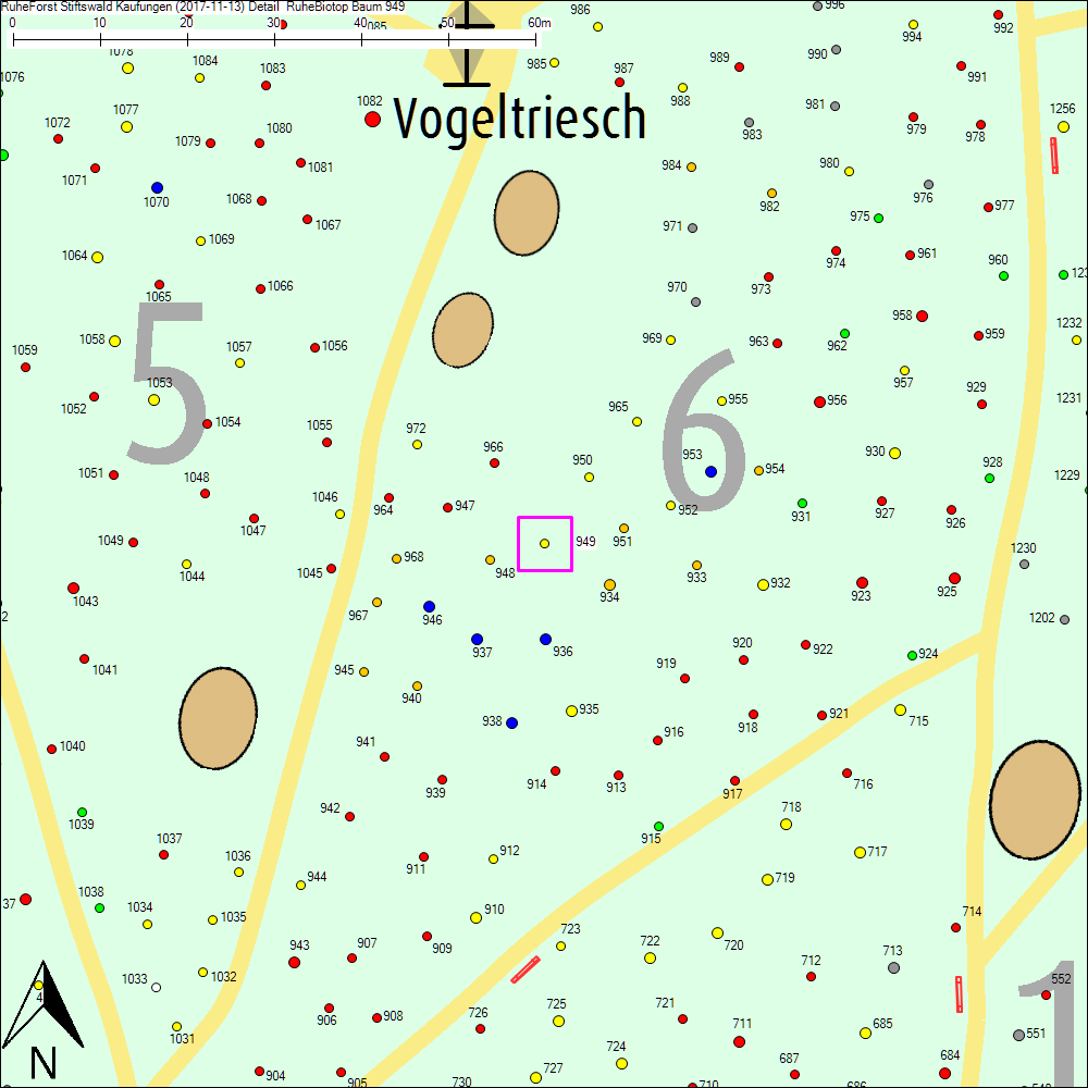 Detailkarte zu Baum 949