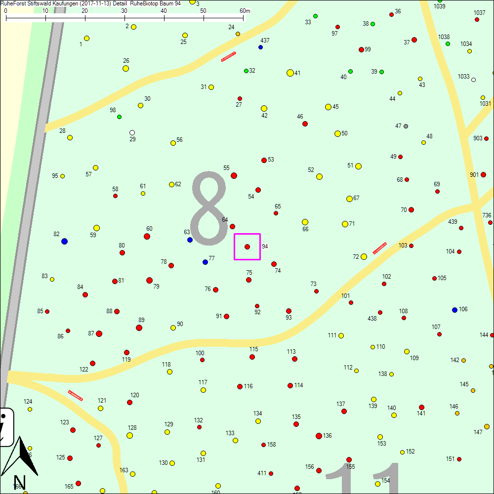 Detailkarte zu Baum 94