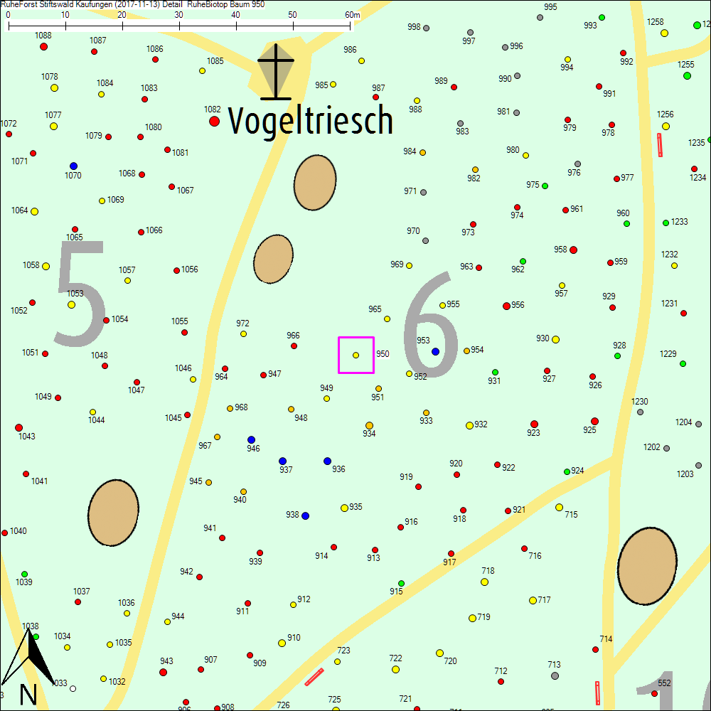 Detailkarte zu Baum 950