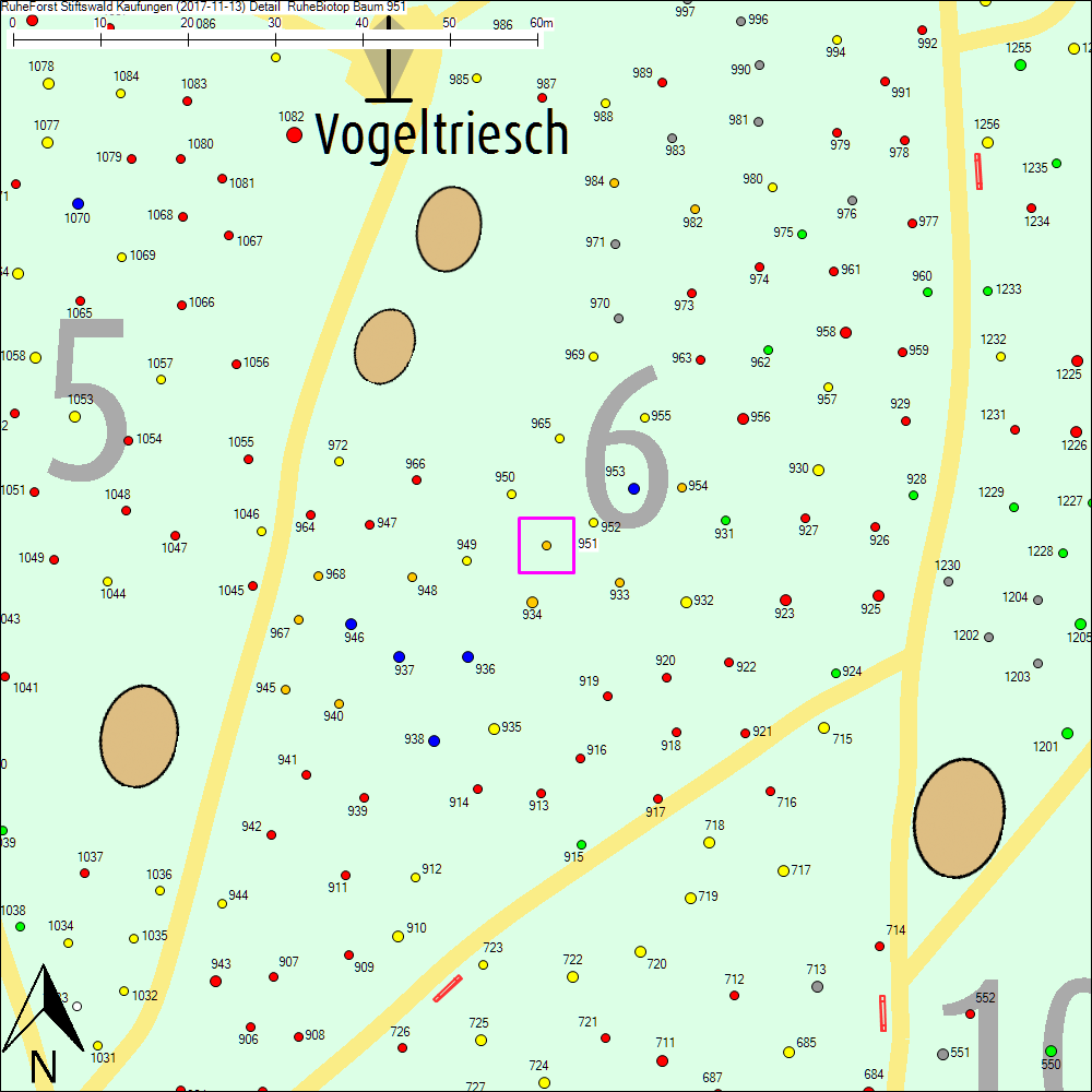 Detailkarte zu Baum 951