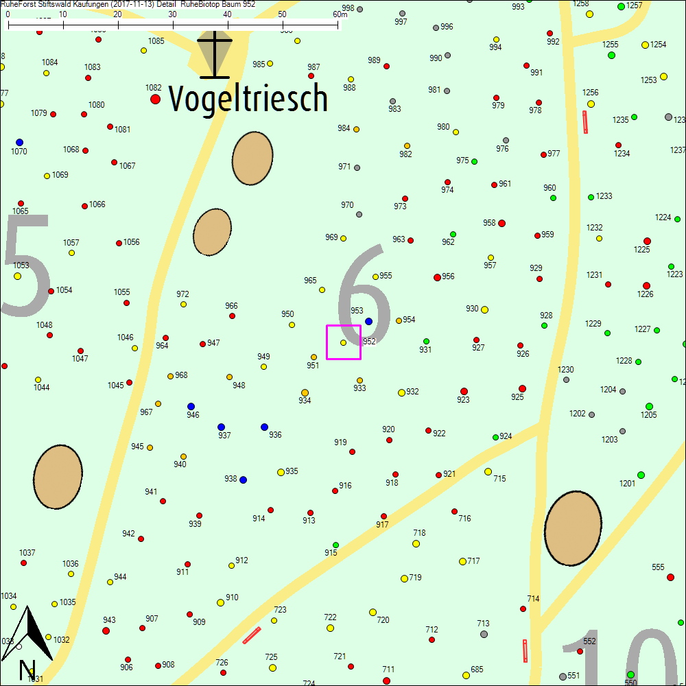 Detailkarte zu Baum 952