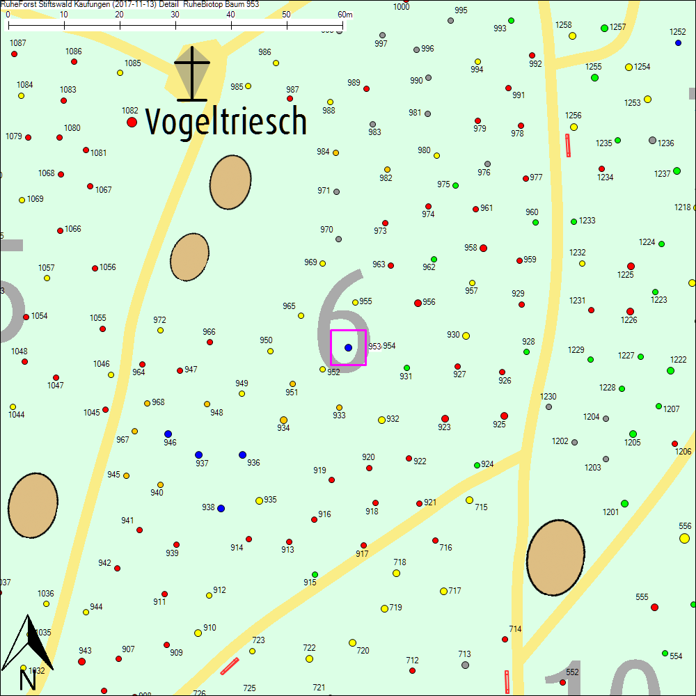 Detailkarte zu Baum 953