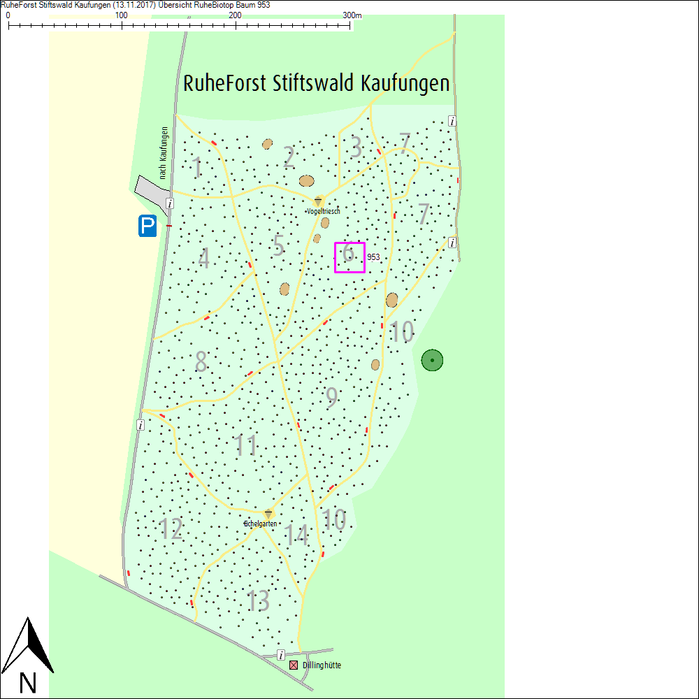 &Uuml;bersichtskarte zu Baum 953