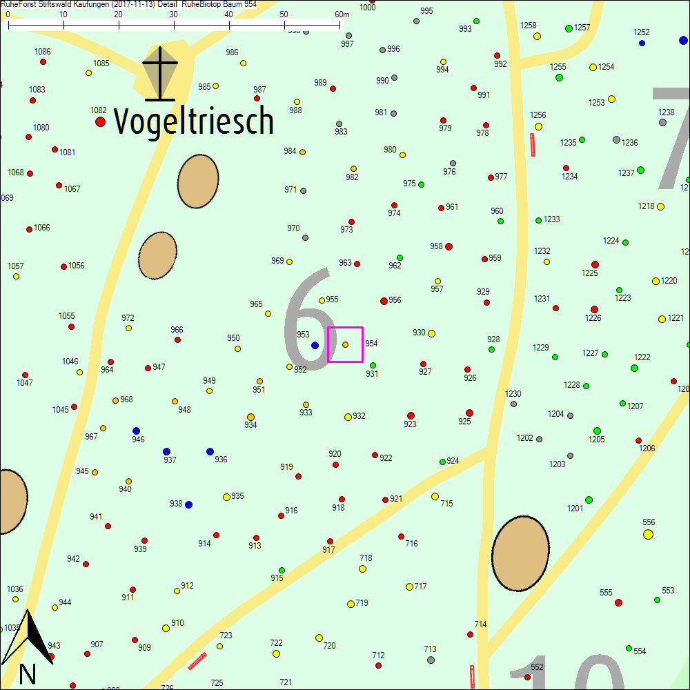 Detailkarte zu Baum 954