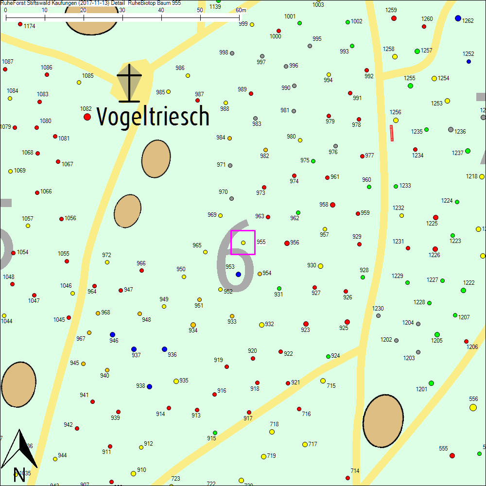 Detailkarte zu Baum 955