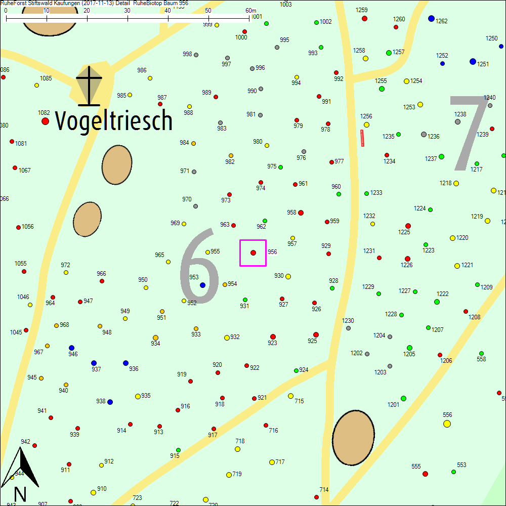 Detailkarte zu Baum 956