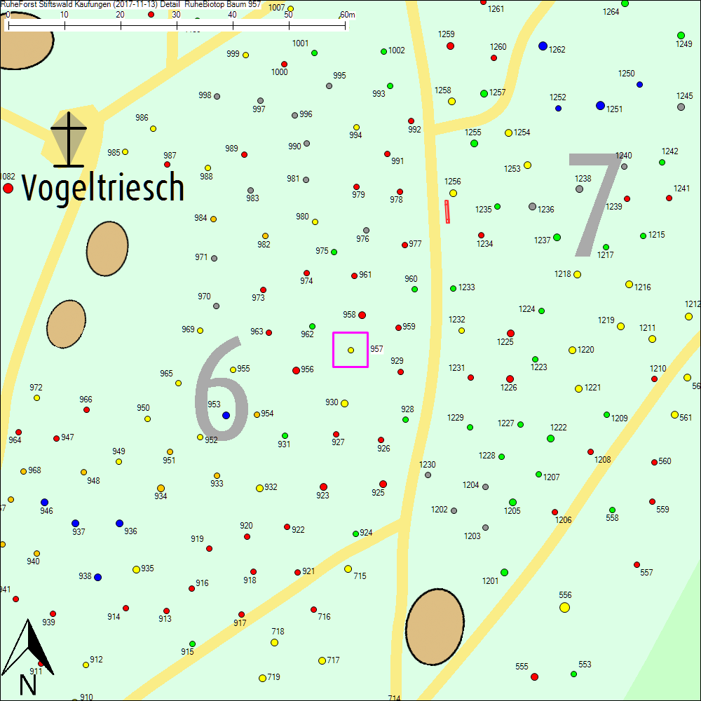 Detailkarte zu Baum 957