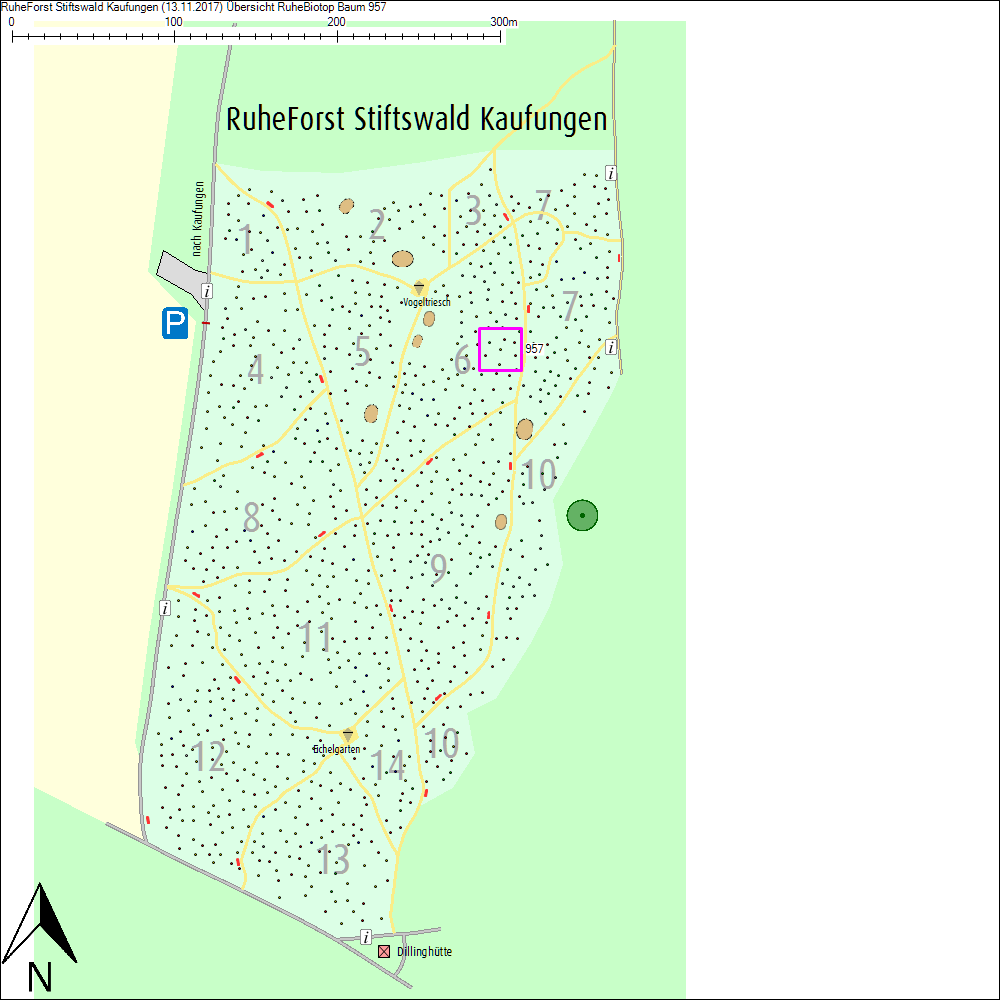 &Uuml;bersichtskarte zu Baum 957