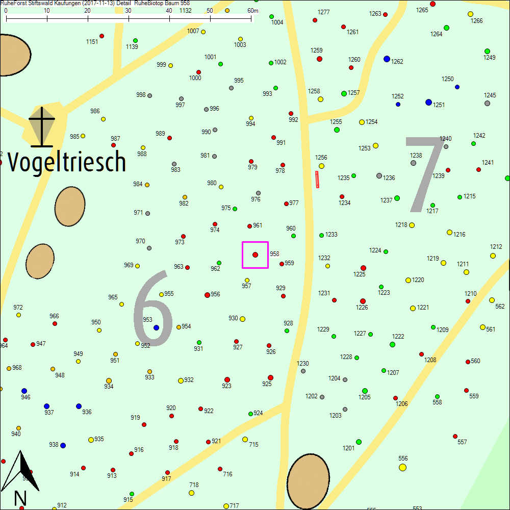 Detailkarte zu Baum 958