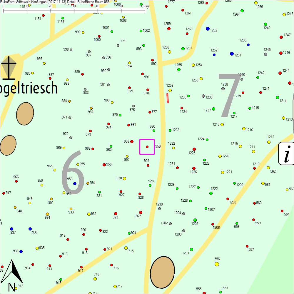 Detailkarte zu Baum 959