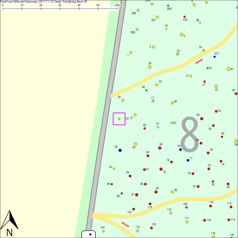 Detailkarte zu Baum 95