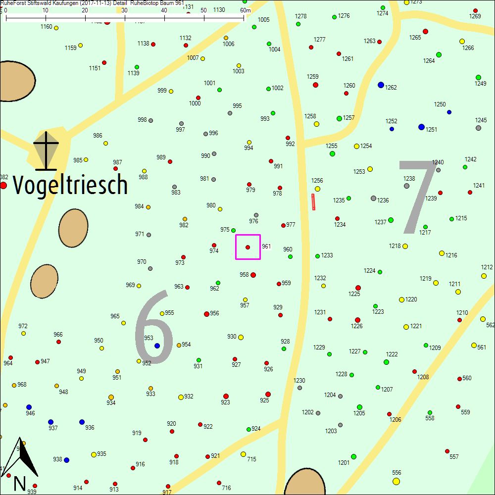 Detailkarte zu Baum 961