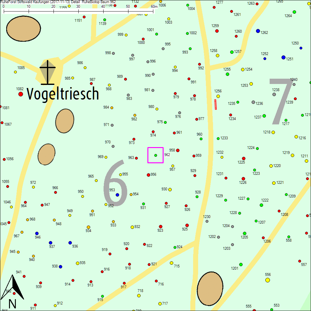 Detailkarte zu Baum 962