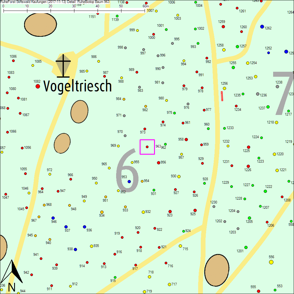 Detailkarte zu Baum 963