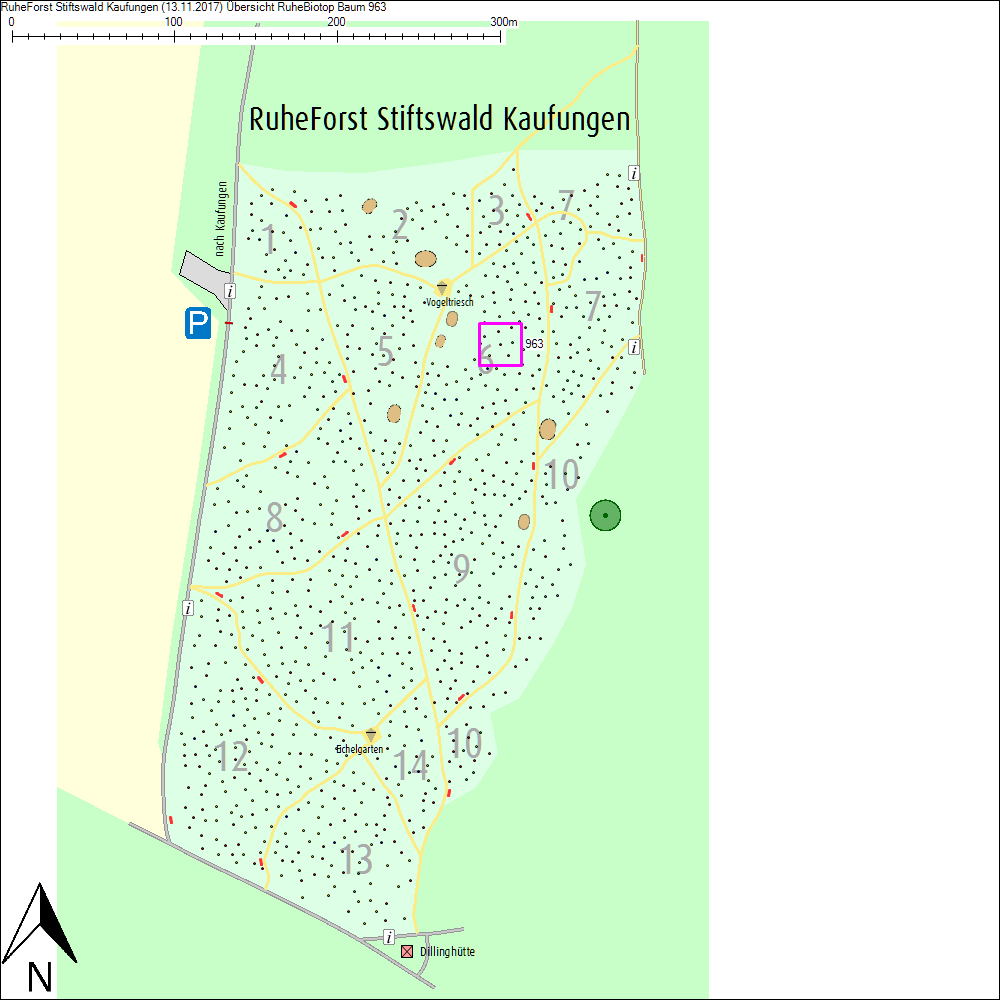 &Uuml;bersichtskarte zu Baum 963