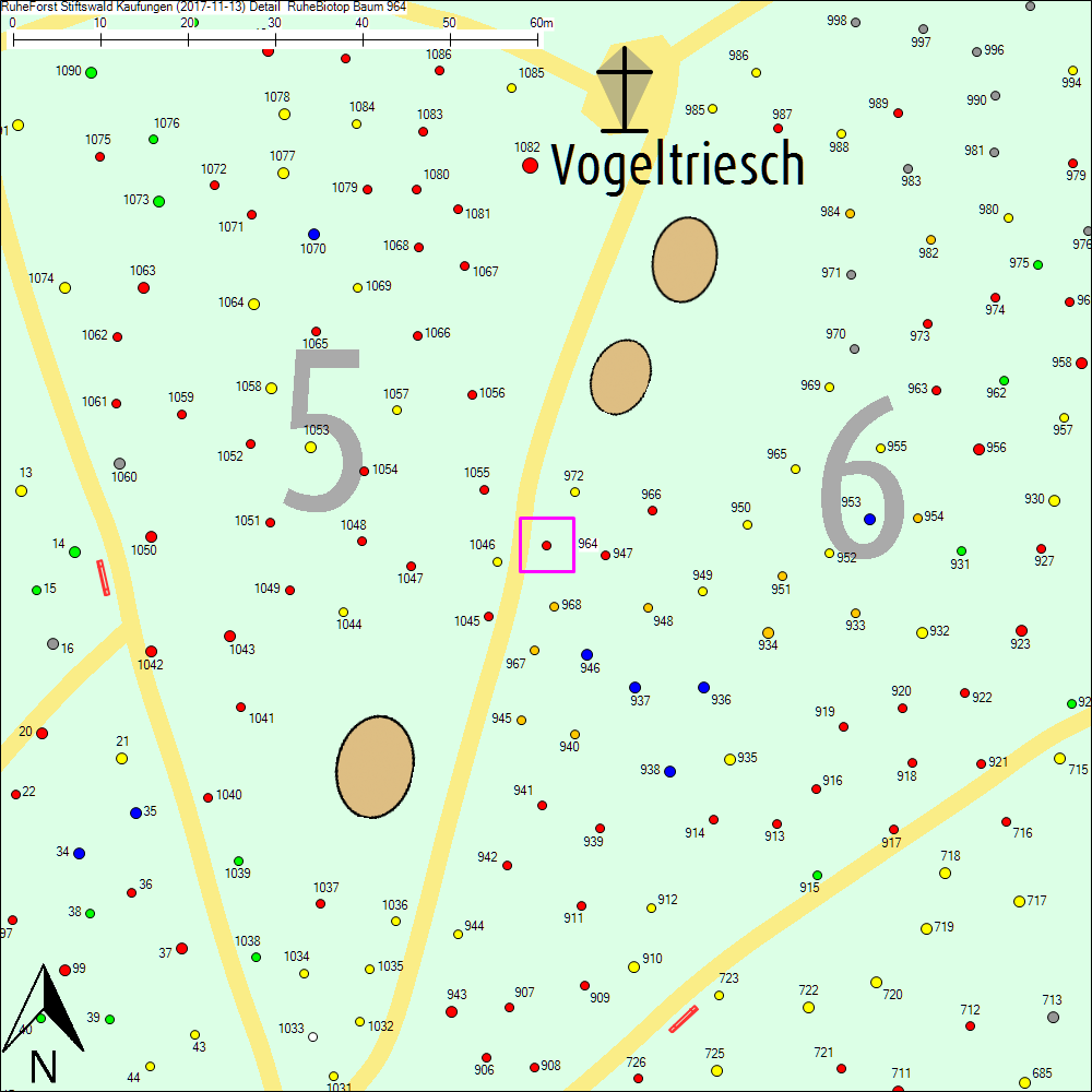 Detailkarte zu Baum 964