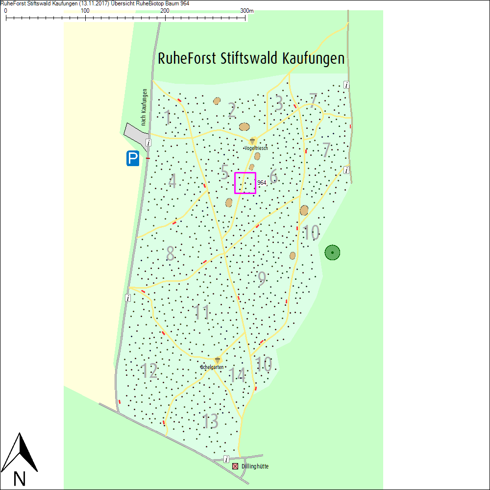 &Uuml;bersichtskarte zu Baum 964