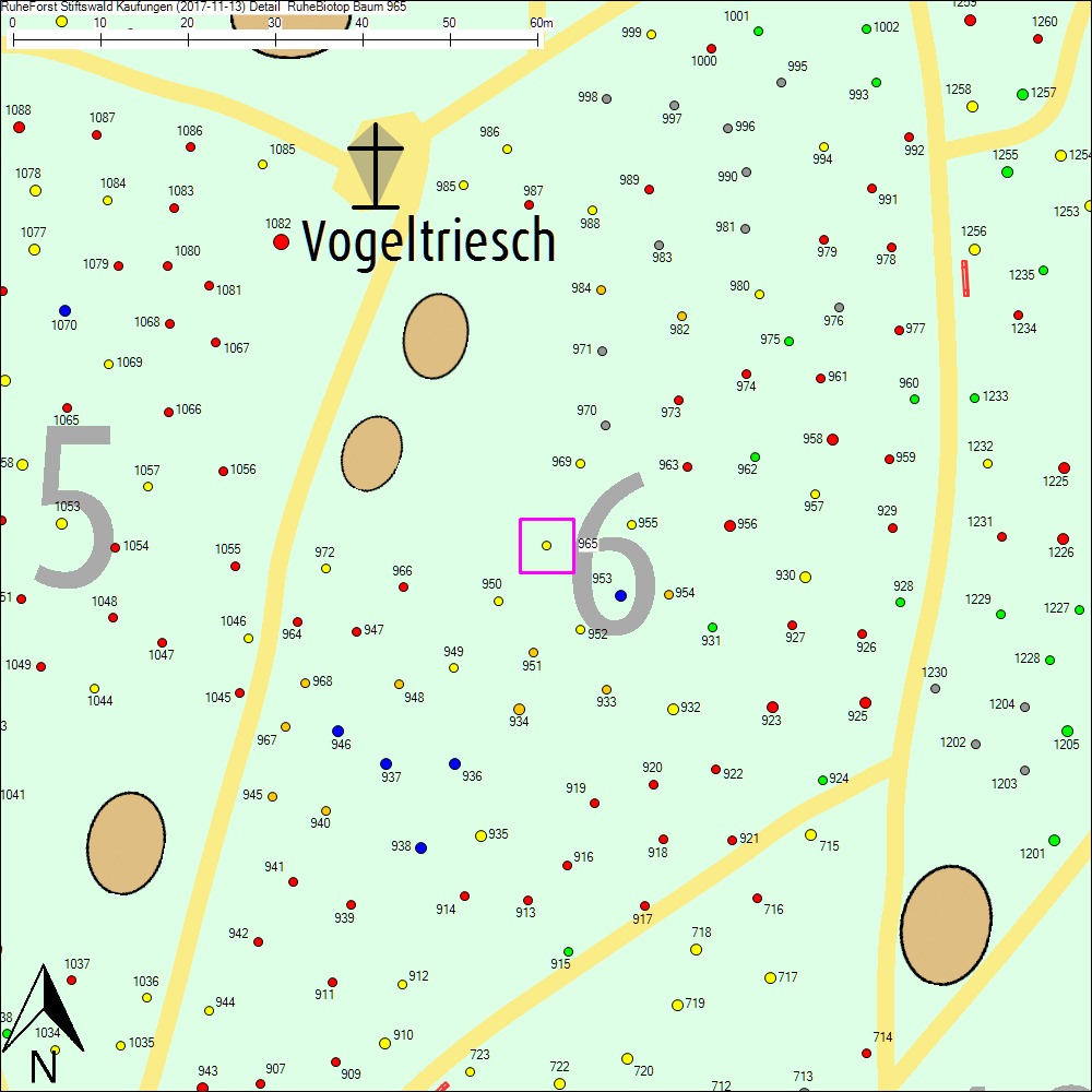 Detailkarte zu Baum 965