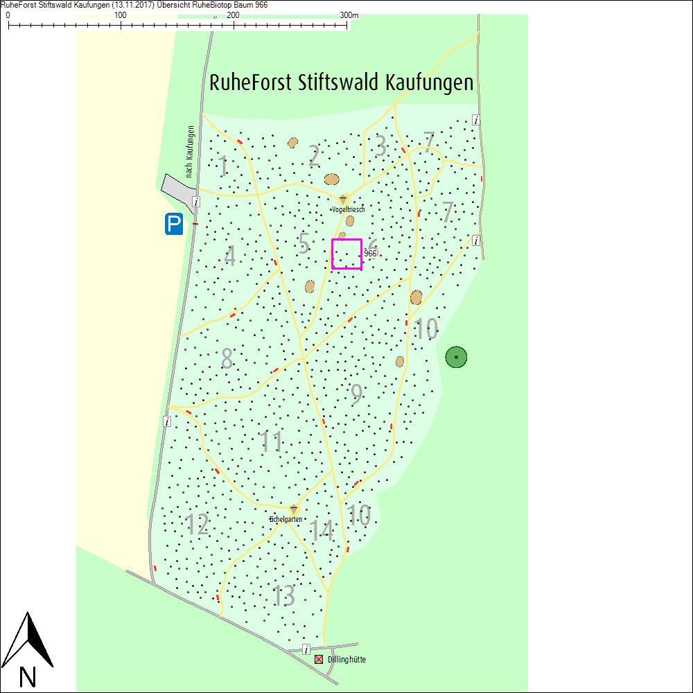 &Uuml;bersichtskarte zu Baum 966