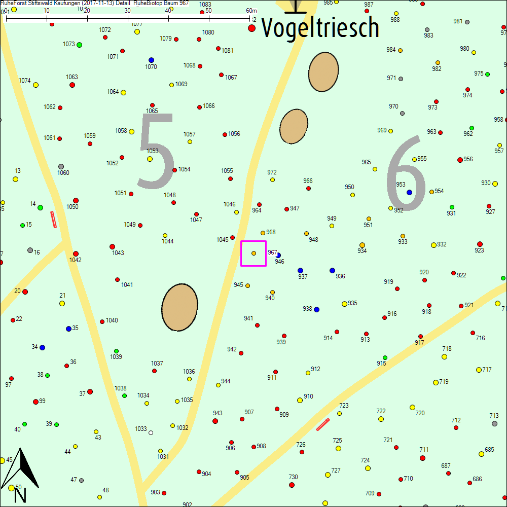 Detailkarte zu Baum 967