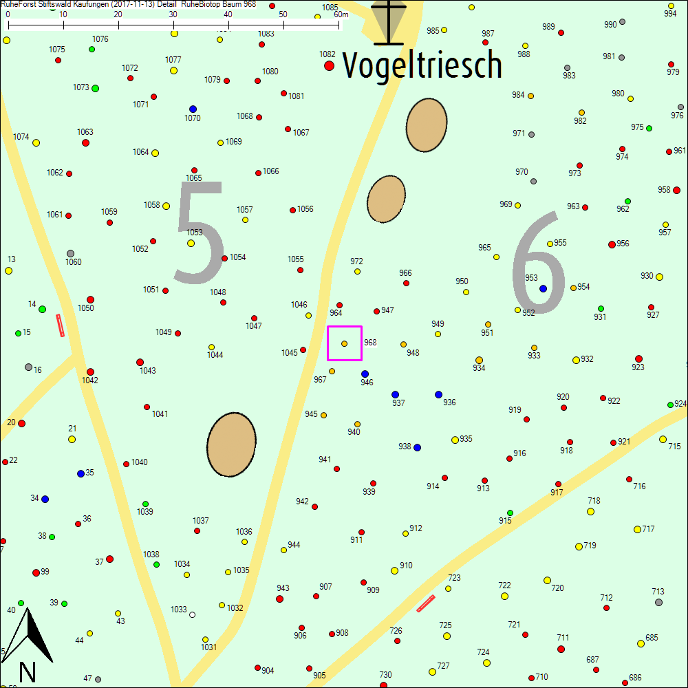 Detailkarte zu Baum 968