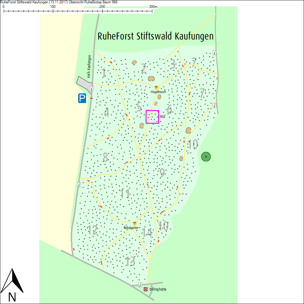 &Uuml;bersichtskarte zu Baum 968