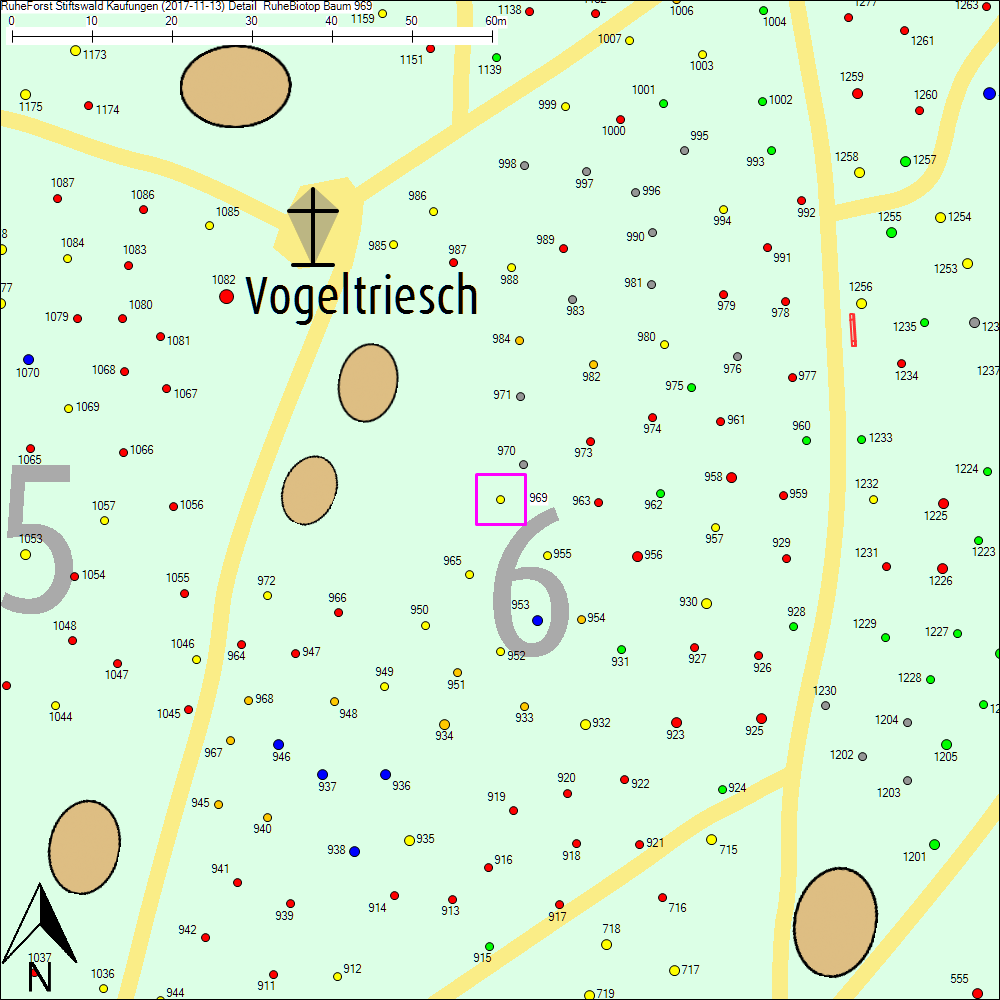 Detailkarte zu Baum 969