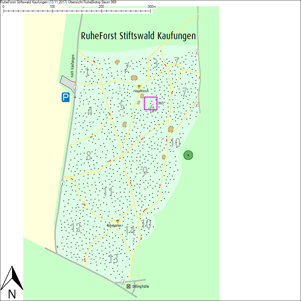 &Uuml;bersichtskarte zu Baum 969