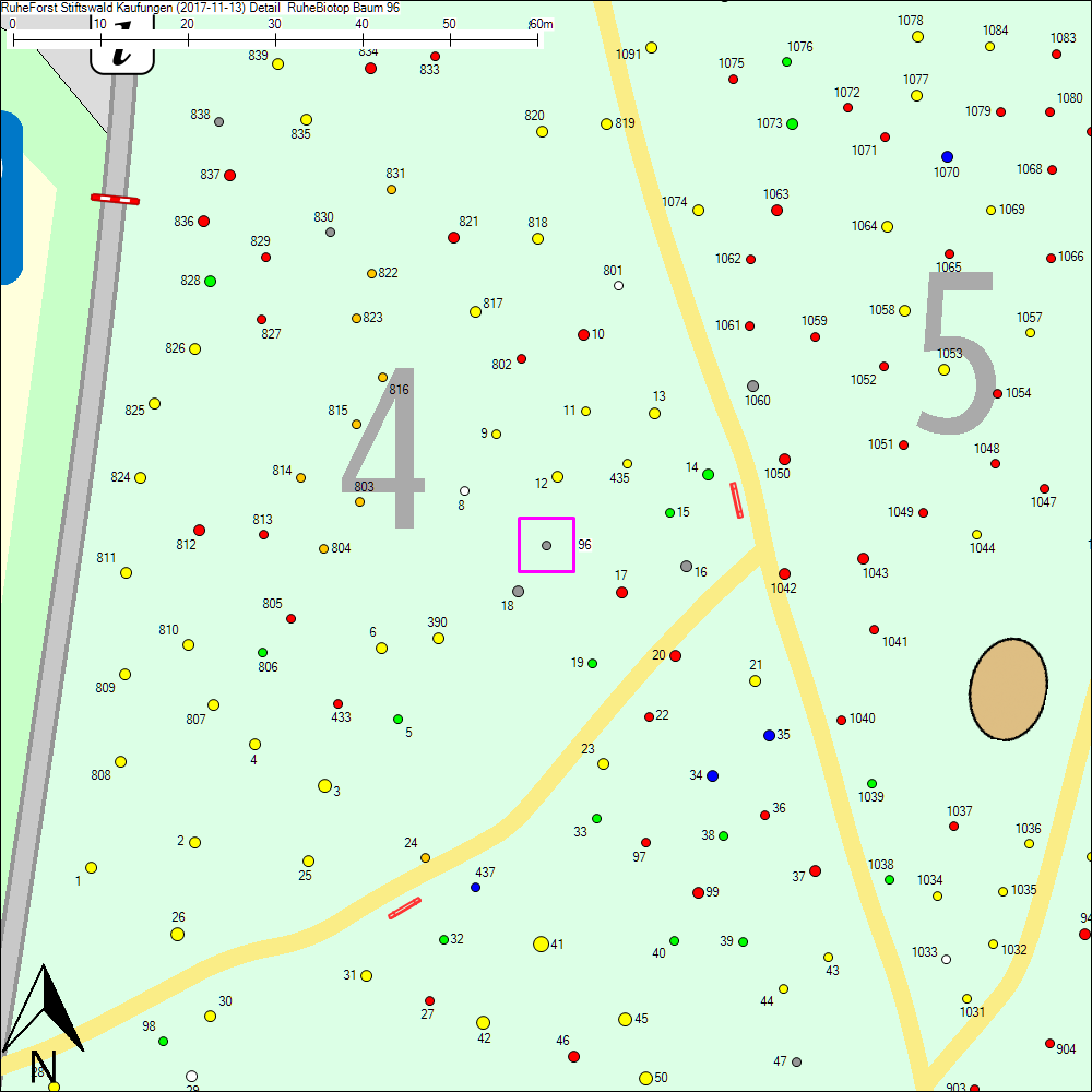 Detailkarte zu Baum 96