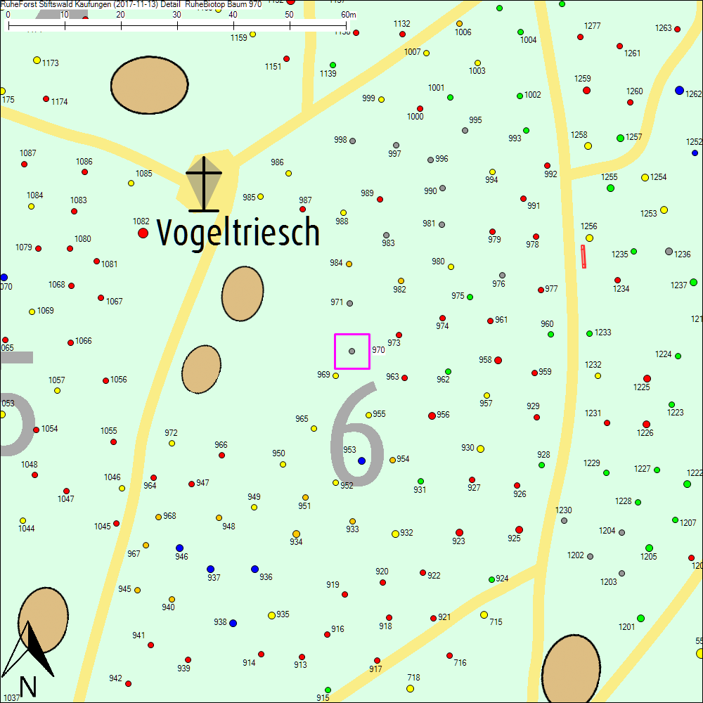 Detailkarte zu Baum 970