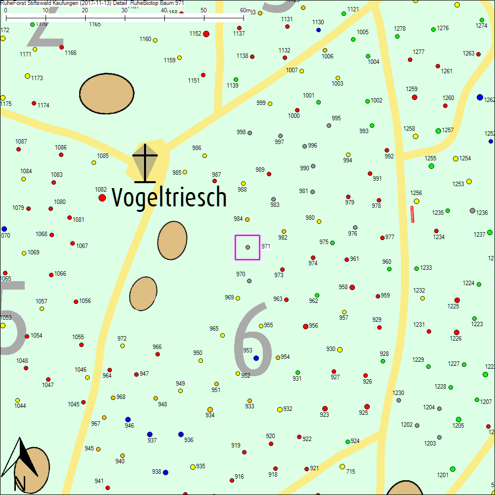 Detailkarte zu Baum 971