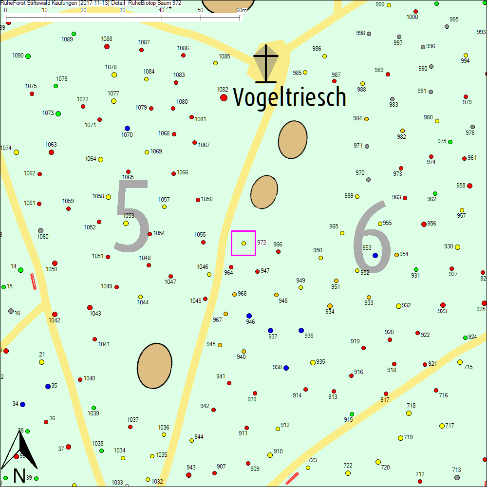 Detailkarte zu Baum 972