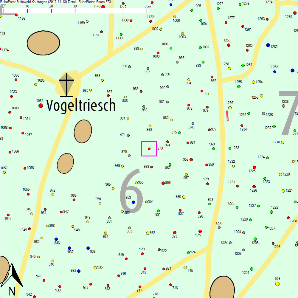 Detailkarte zu Baum 973