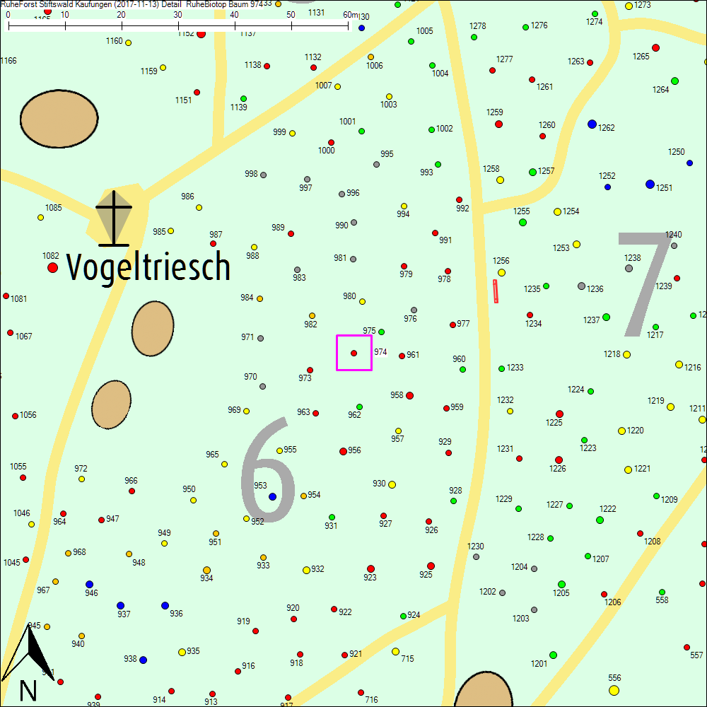Detailkarte zu Baum 974