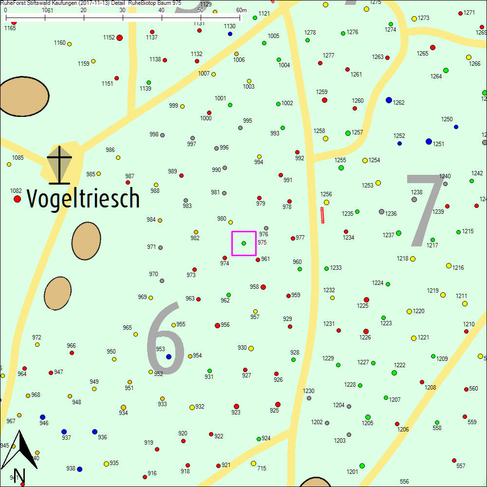 Detailkarte zu Baum 975