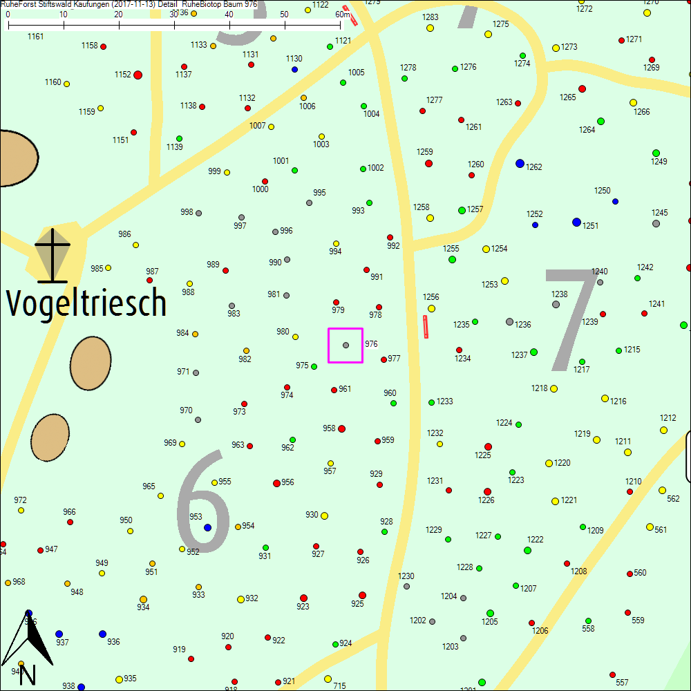 Detailkarte zu Baum 976