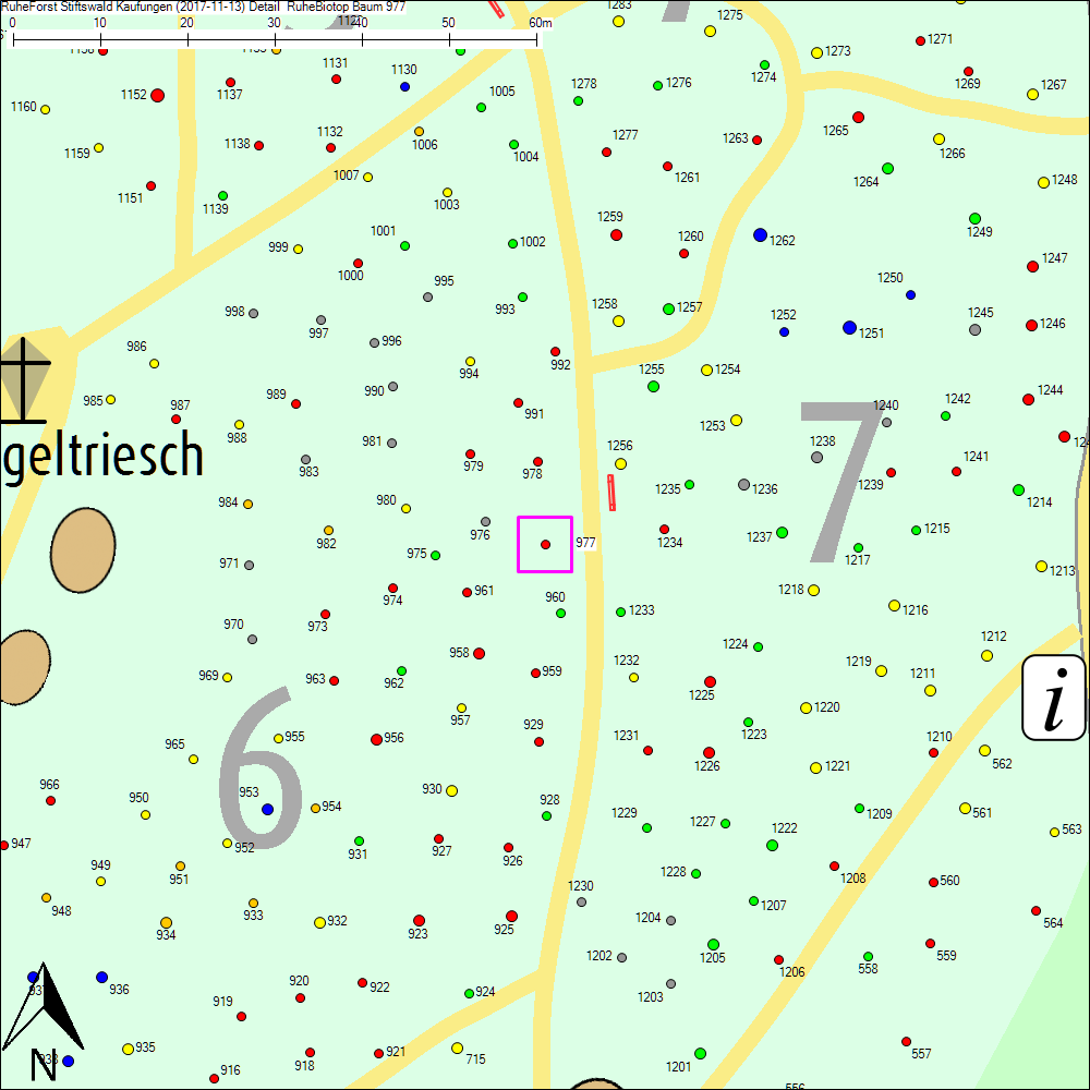 Detailkarte zu Baum 977