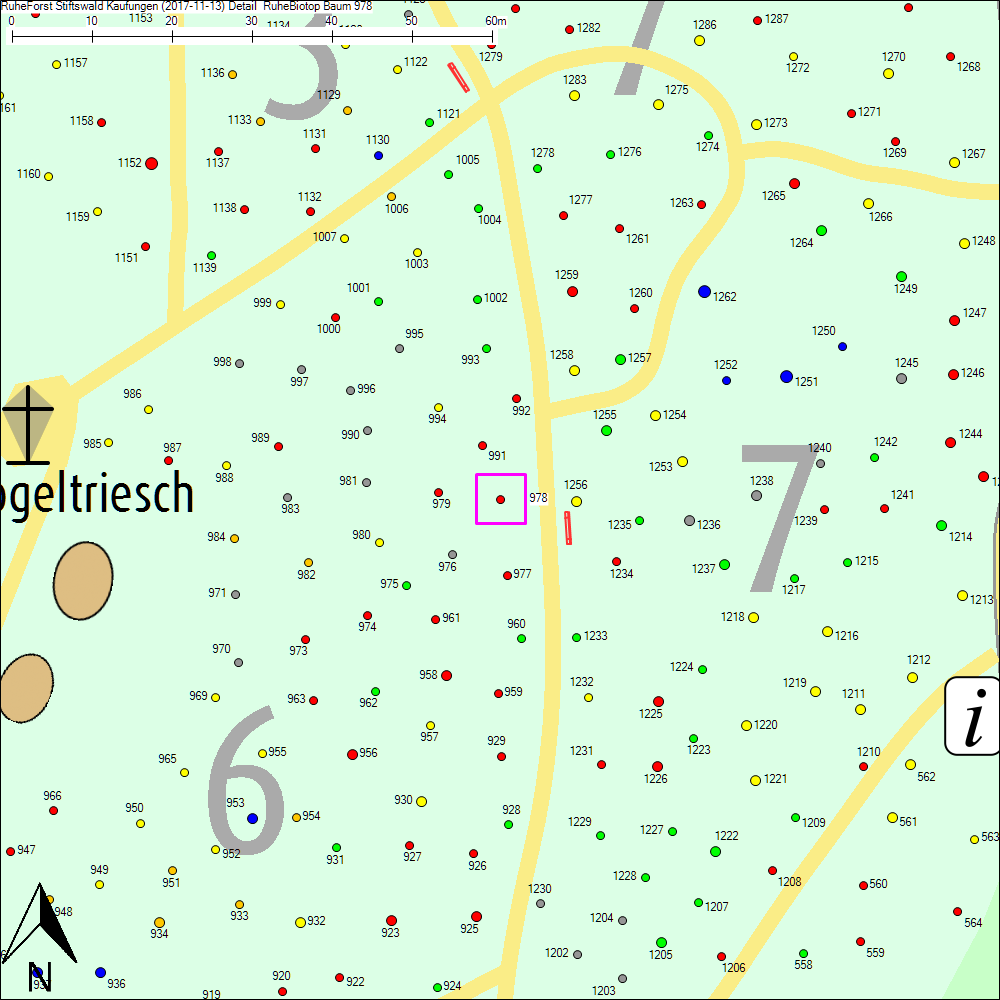 Detailkarte zu Baum 978