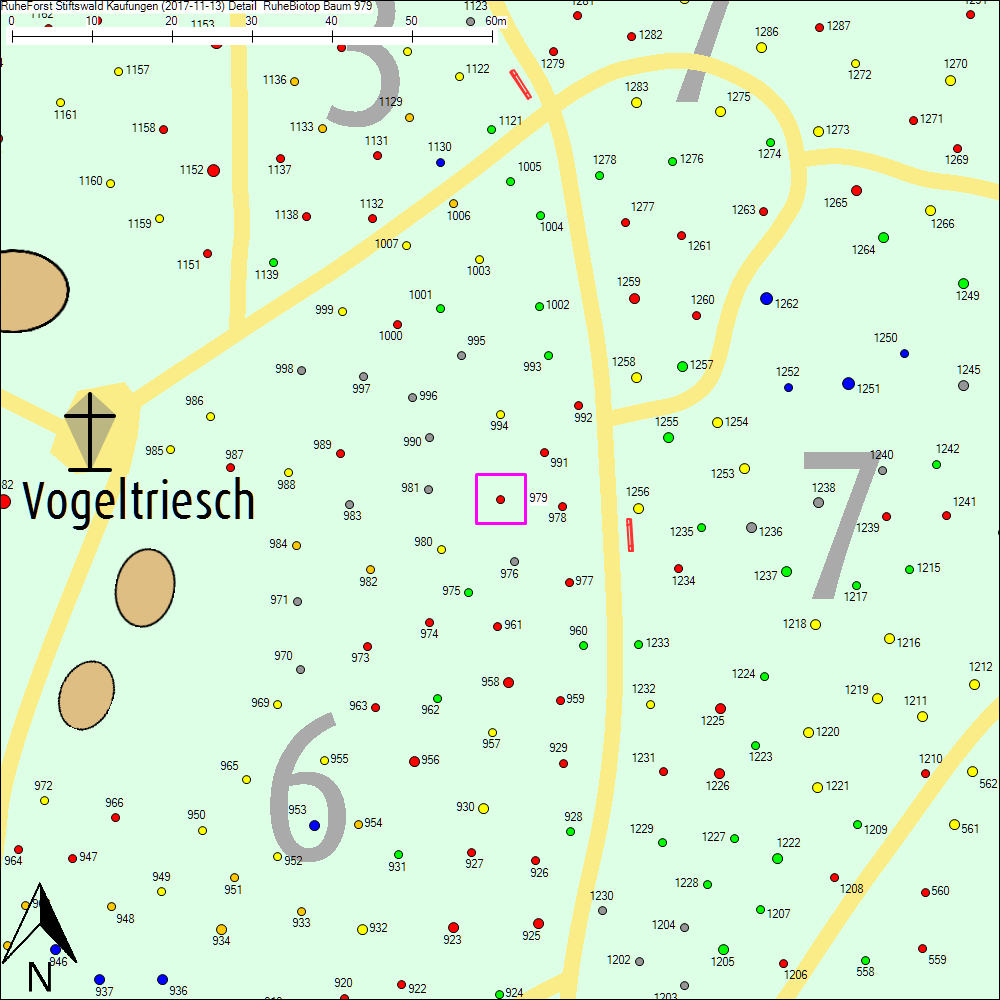 Detailkarte zu Baum 979