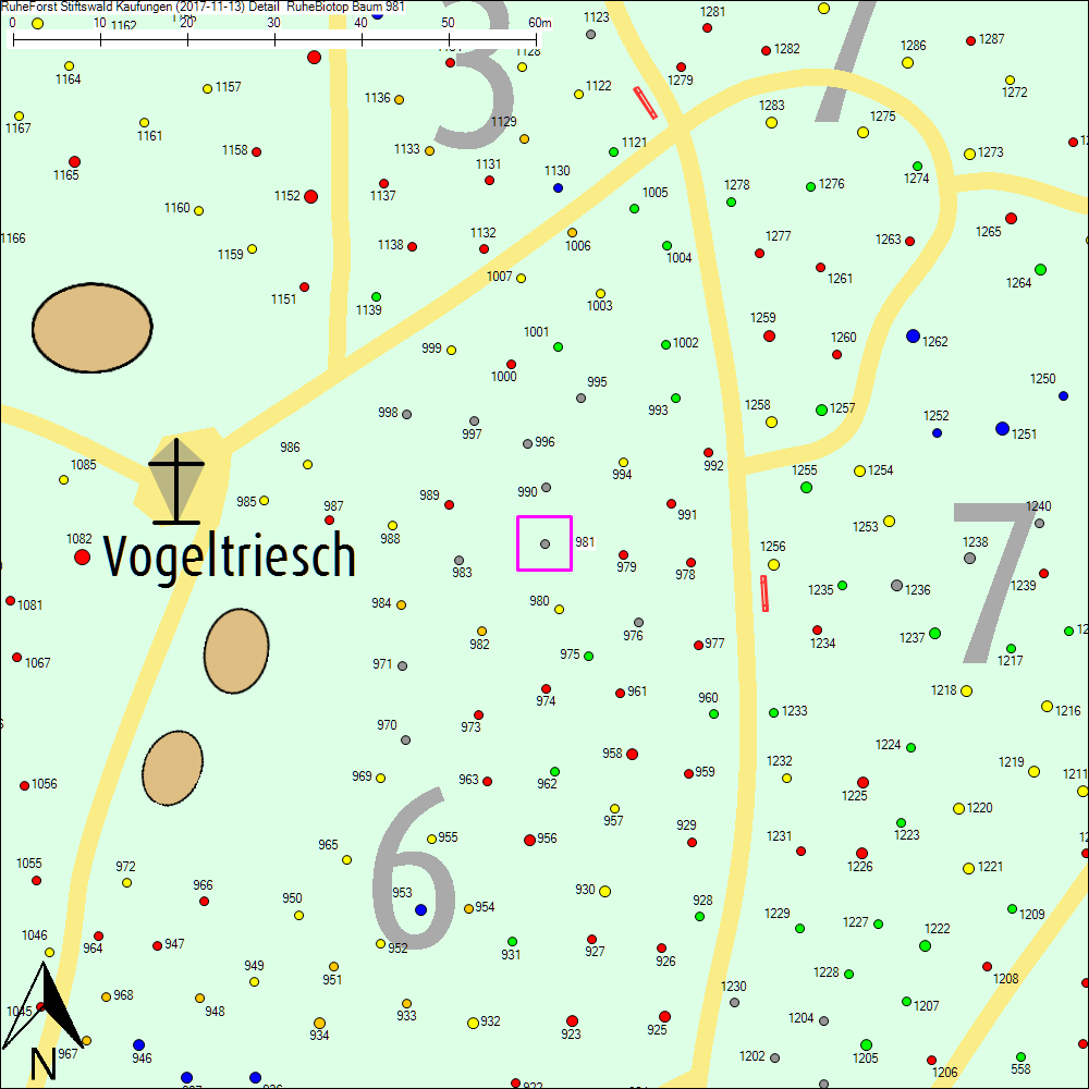 Detailkarte zu Baum 981